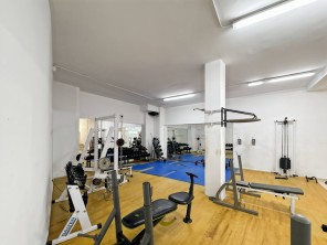 Gimnasio